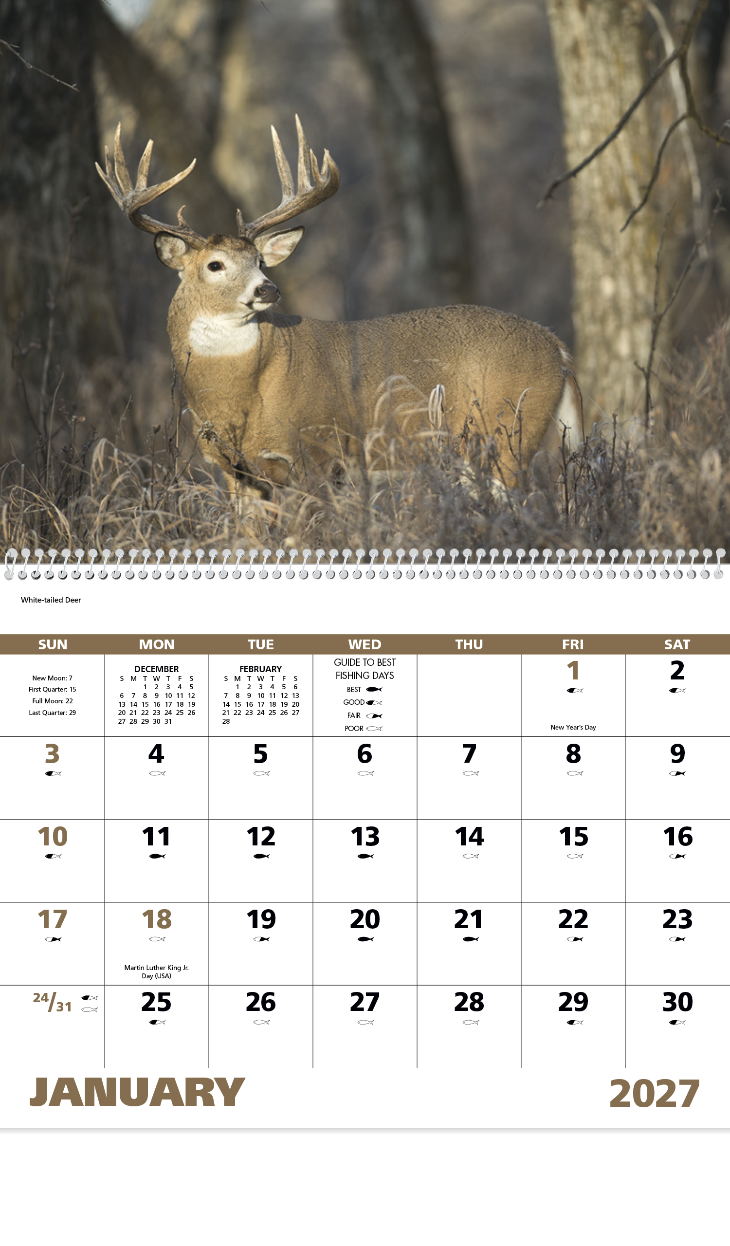 Good Value™ Wildlife Portraits - Spiral Calendar 83